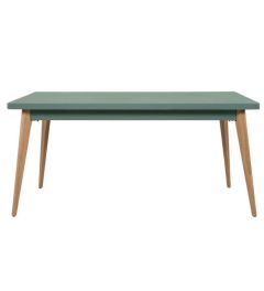 table 55 160 x 80 Vert Lichen